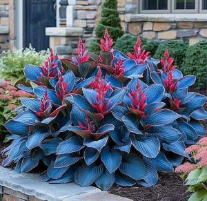 Хоста Грин Фог купить по цене от 669р. в интернет-магазине «Посадика» с доставкой почтой в в Пущиное и по всей России – [изображение №1].